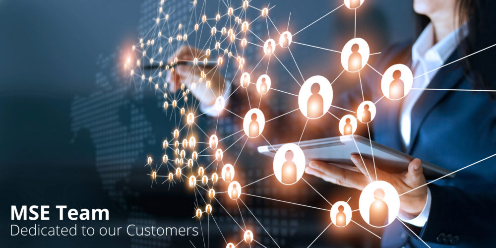MSE Customer Oriented MSE Customer Oriented